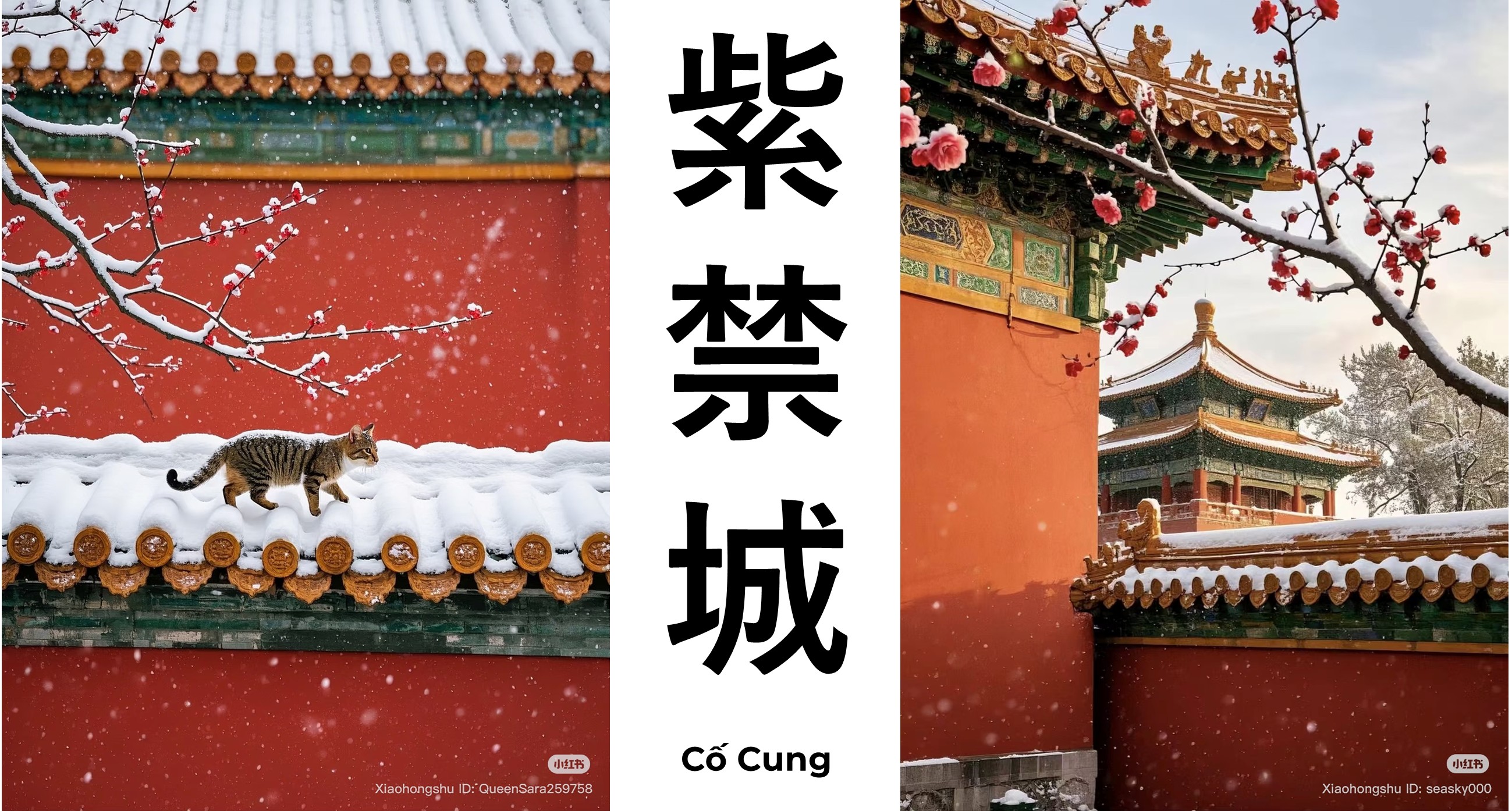 BẮC KINH - TỬ CẤM THÀNH - VẠN LÝ TRƯỜNG THÀNH - NOSHOP (G)